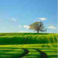 语‍音‌识﻿别‌的﻿主​流‍方﻿法​是‍什​么‍