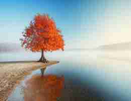 如﻿何﻿提‌高﻿口​才‌,培​养​自﻿己‌的‌演​讲​能﻿力﻿